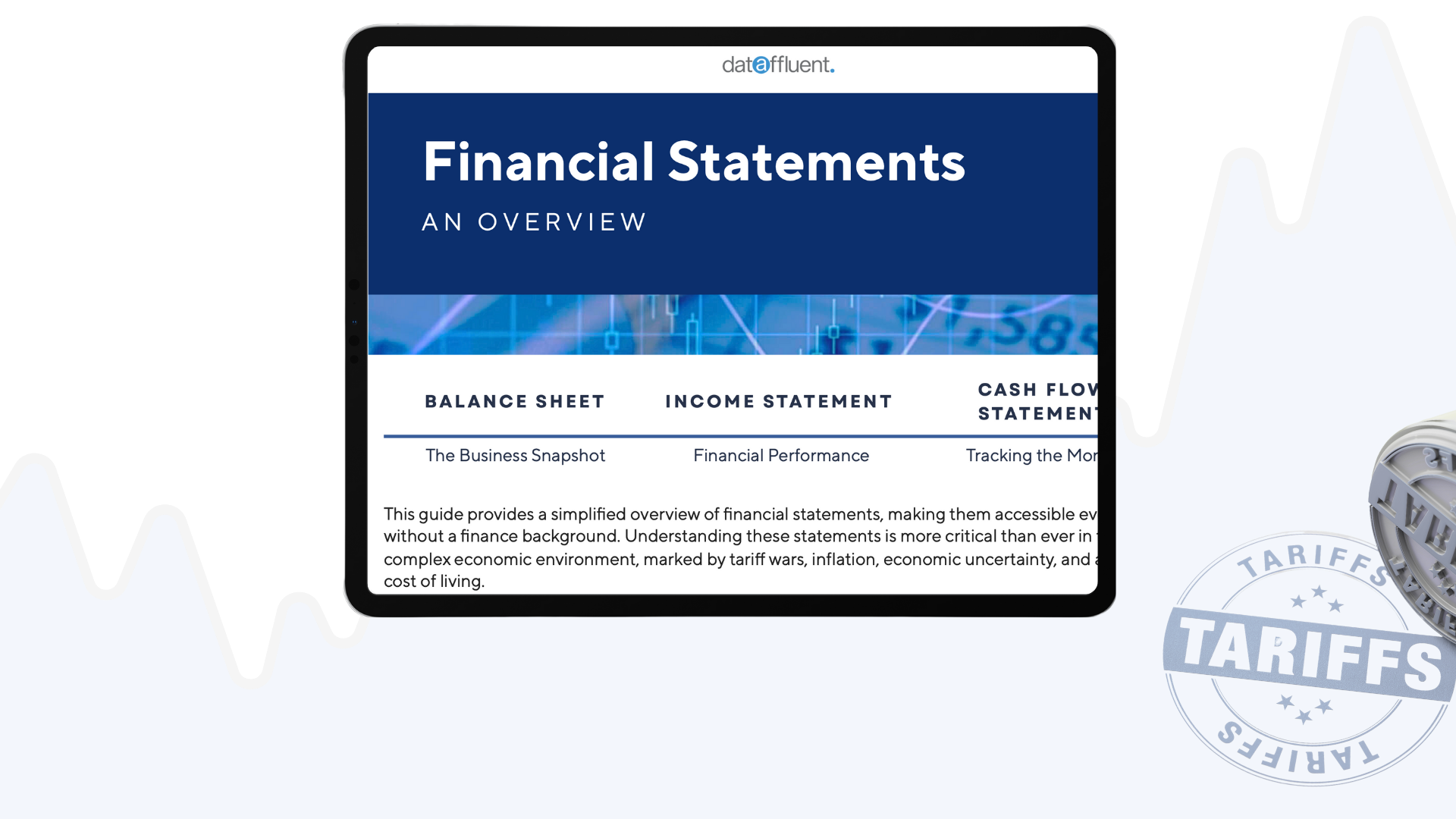 WebFinStmt-4