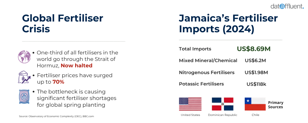 Jamaica fertiliser hormuz crisis” style=